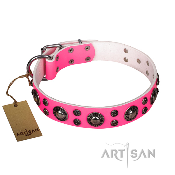 Fashionable full grain genuine leather dog collar for everyday use