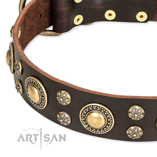 Leather dog collar with trendy decorations