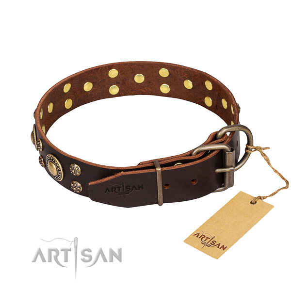 Walking leather collar with adornments for your dog