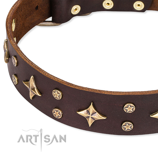 Full grain genuine leather dog collar with unusual embellishments