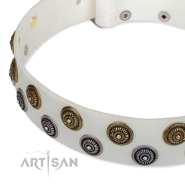 Full grain leather dog collar with impressive adornments