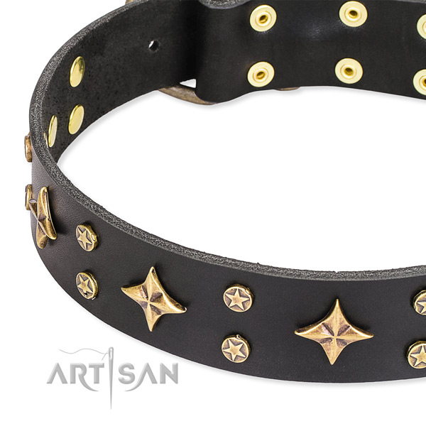 Full grain leather dog collar with stunning decorations