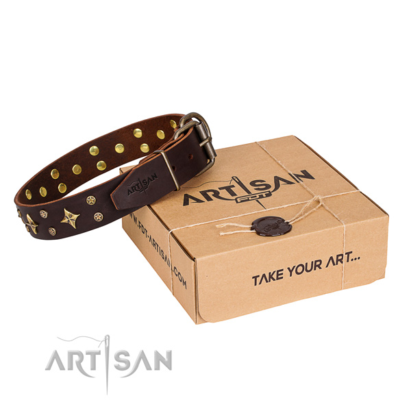 Decorated leather dog collar for walking