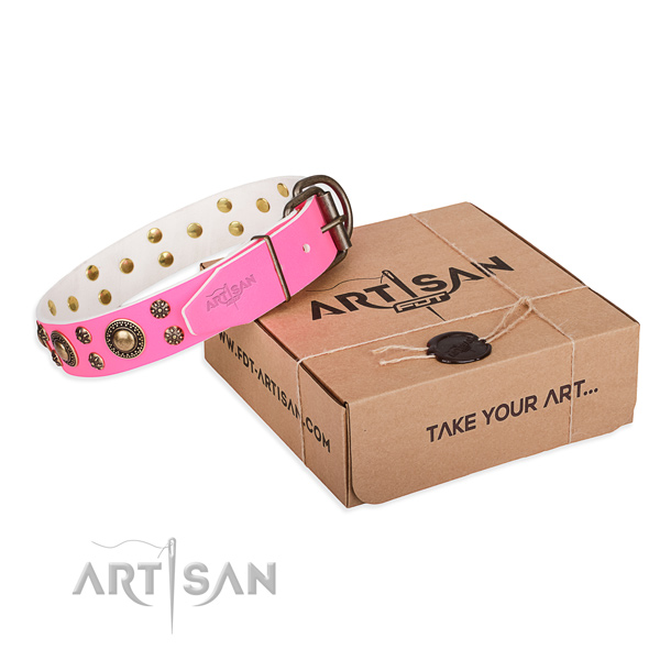 Genuine leather dog collar with adornments for walking