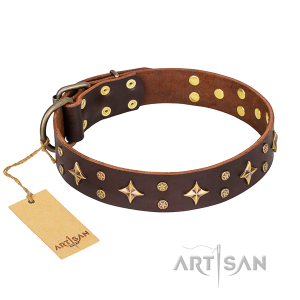 Trendy full grain natural leather dog collar for walking