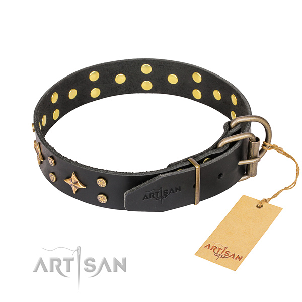 Everyday walking genuine leather collar with adornments for your pet