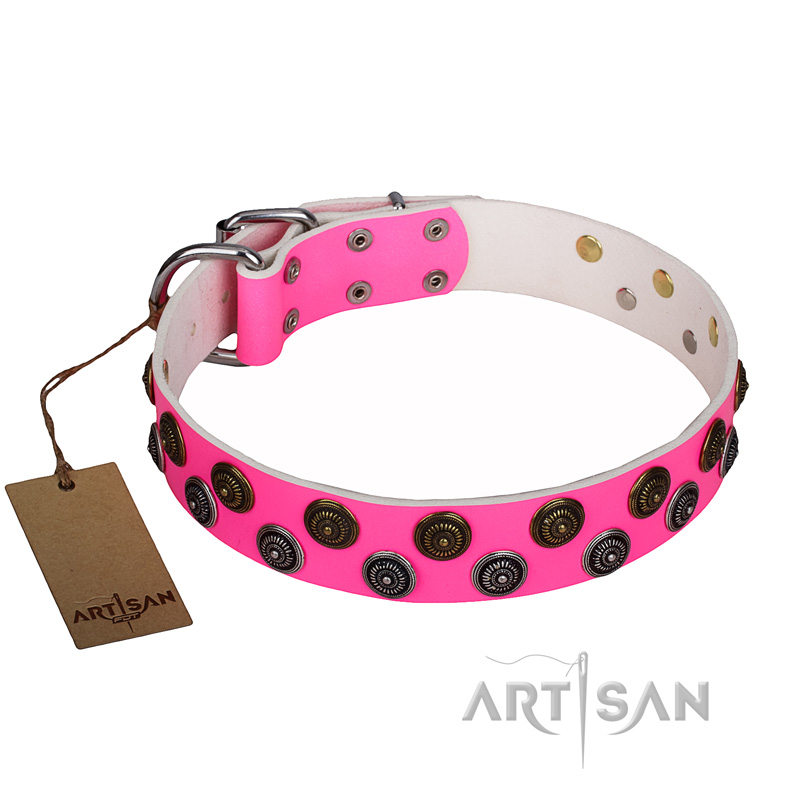 Fashion Designer Dog collar handmade adjustable 1