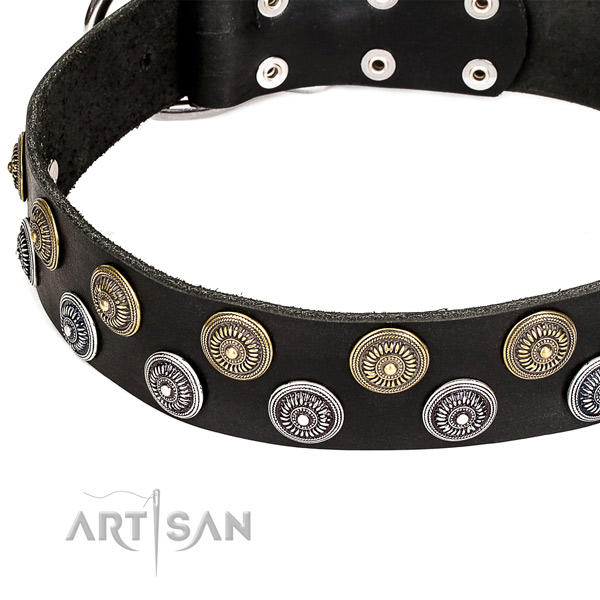 Genuine leather dog collar with incredible decorations