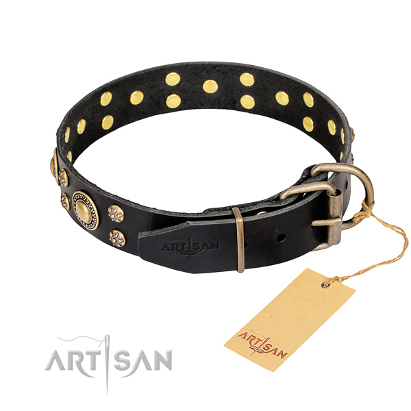 Walking full grain genuine leather collar with studs for your pet