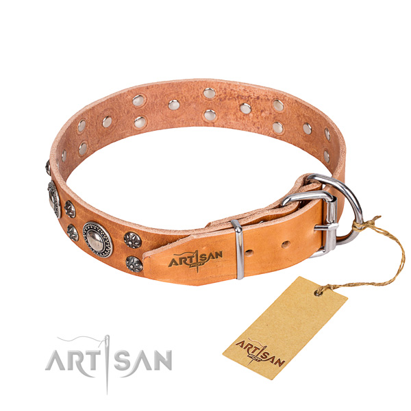 Everyday use natural genuine leather collar with embellishments for your dog