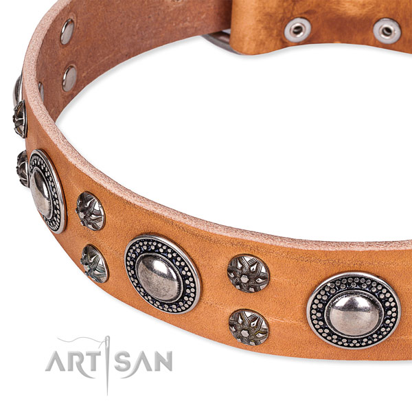 Everyday use full grain leather collar with reliable buckle and D-ring