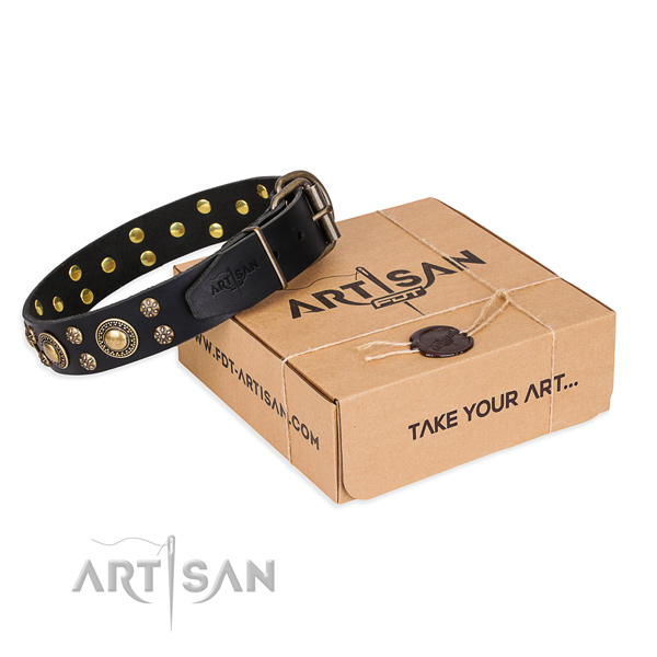 Trendy leather dog collar for walking