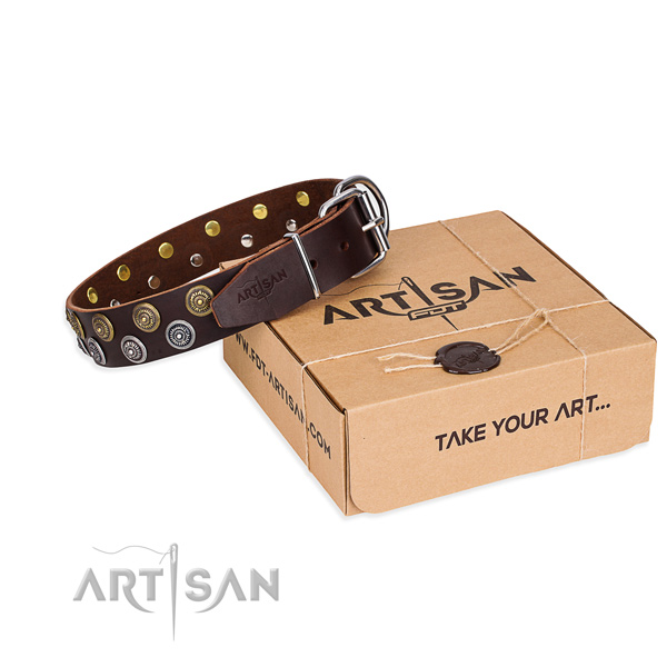 Leather dog collar with adornments for daily use