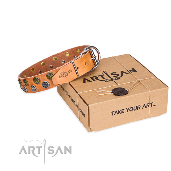 Leather dog collar with adornments for daily use