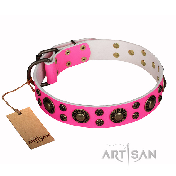Handy use full grain natural leather collar with studs for your doggie