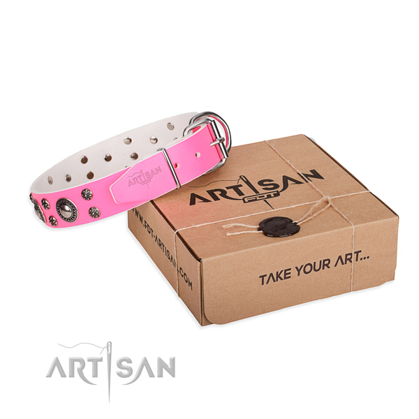 Stylish full grain genuine leather dog collar for everyday use