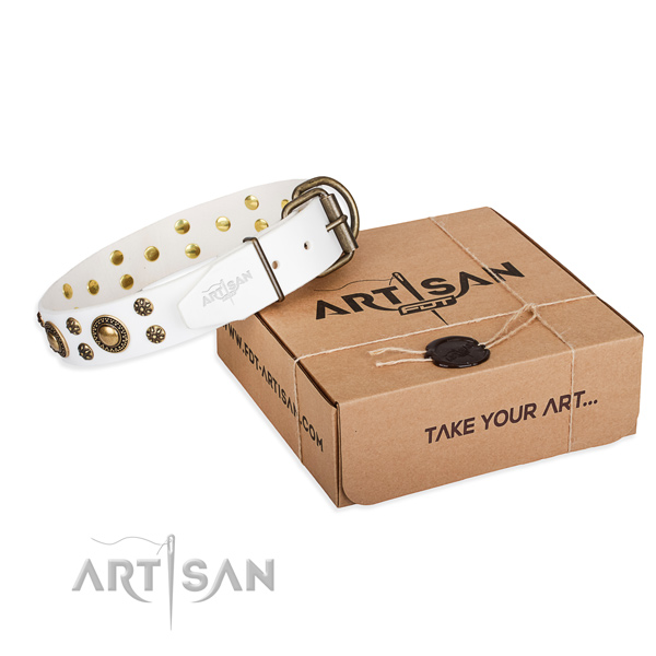 Leather dog collar with embellishments for everyday use