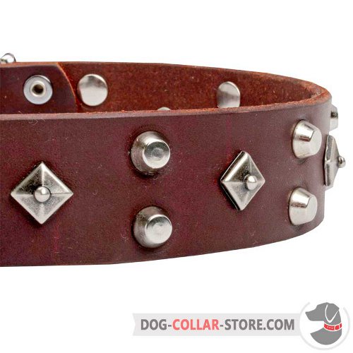 Dog Collar with durable nickel-plated hardware