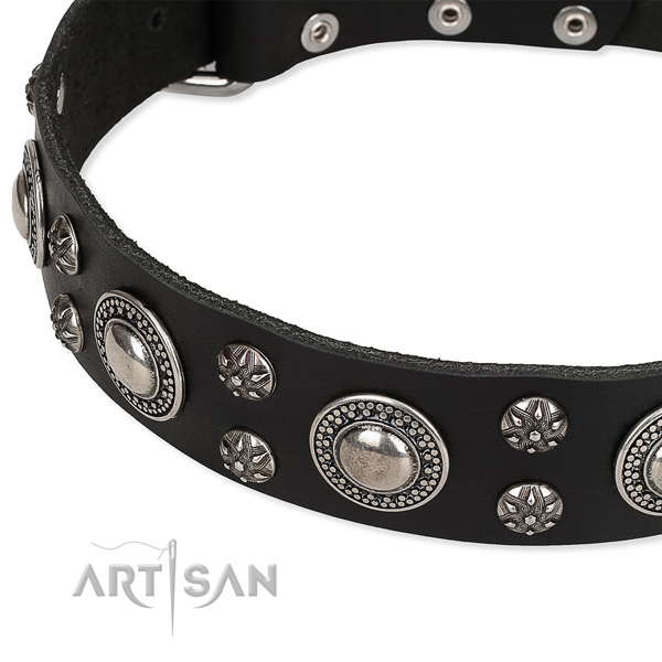 Snugly fitted leather dog collar with almost unbreakable rust-proof fittings