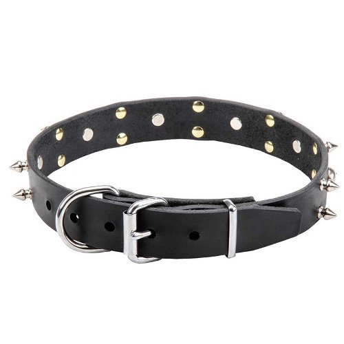 Leather Dog Collar with nickel-plated furniture