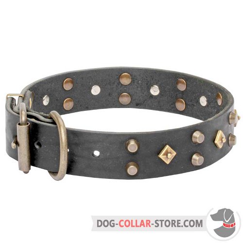 Leather Dog Collar of sophisticated design