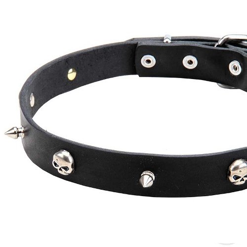 Dog Collar with durable nickel-plated hardware