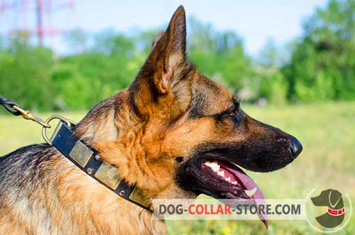 Vintage Leather German Shepherd Collar Decorated With Plates And Pyramids