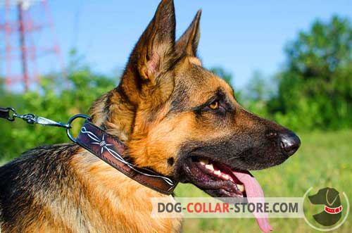 Hand Painted Leather Dog Collar for German Shepherd