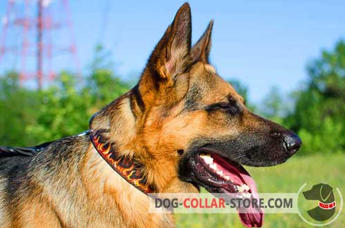 Splendid Leather German Shepherd Collar With Hand Painted Flames