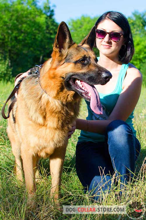 Elegant Leather German Shepherd Collar With Stunning Decorations 