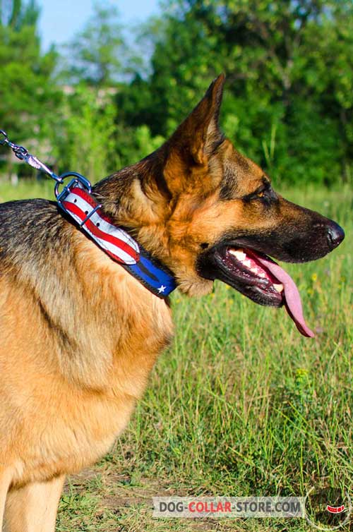 Handcrafted Leather German Shepherd Collar With Unique Design