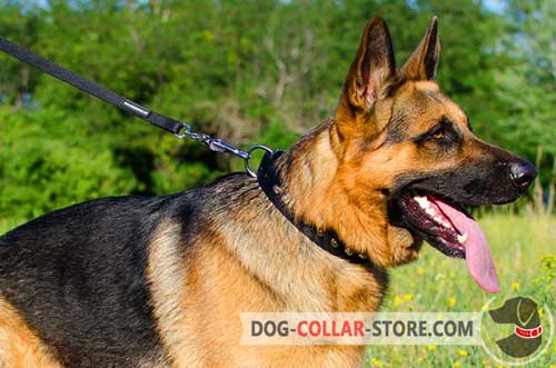 Super Durable Nylon German Shepherd Collar With Pyramids