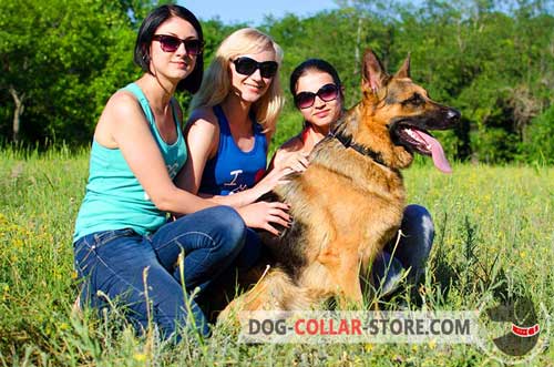 Strong Nylon German Shepherd Collar With Stylish Plates