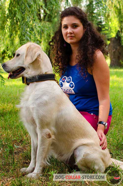 Leather Golden Retriever Collar Padded Inside