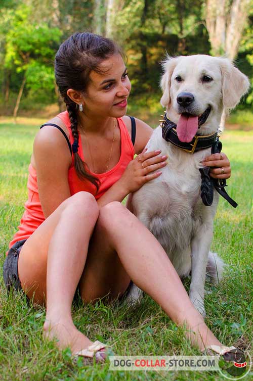 Nappa Padded Leather Golden Retriever Collar With Goldish Brass-plated Spikes