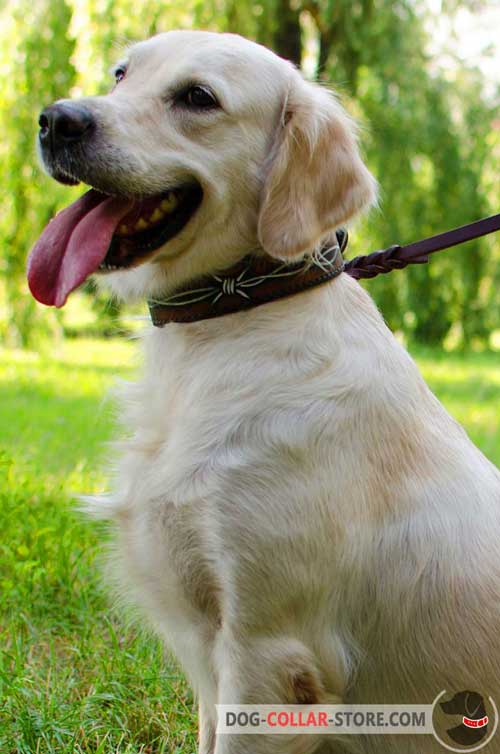 Unique Design Leather Golden Retriever Collar  