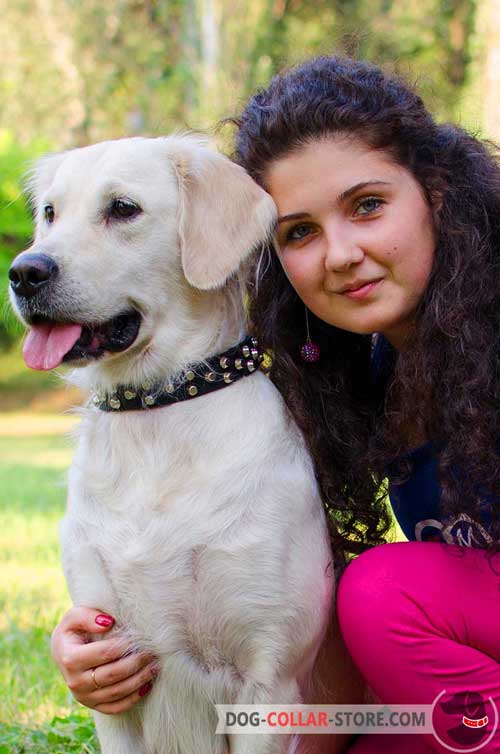 Exclusive Design Leather Golden Retriever Collar With Studs