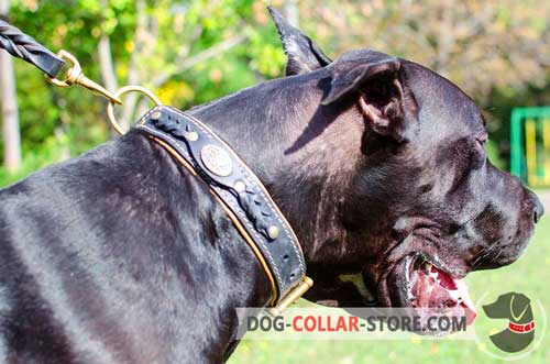 Walking Leather Great Dane Collar Nappa Padded 