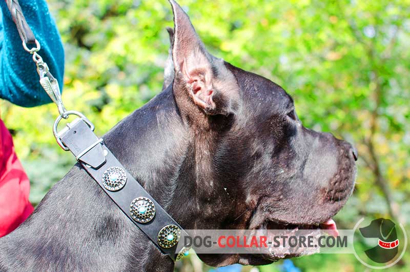 Labrador Luxury Leather Collar With blue Stones