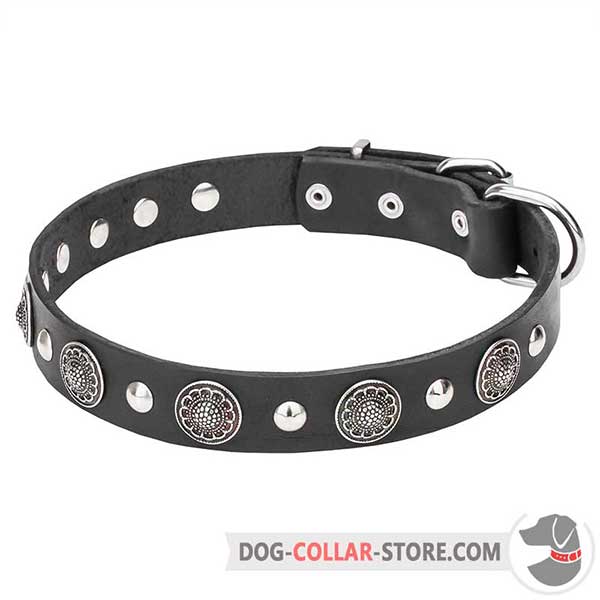 Leather Collar for walking, beautiful