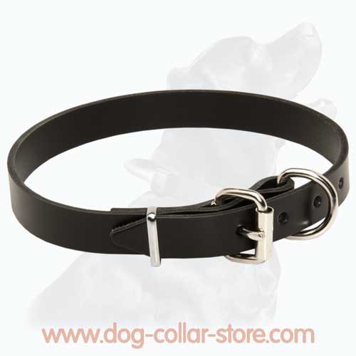 slim leather collar