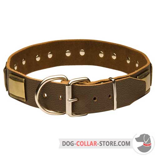 Leather Dog Collar with Buckle