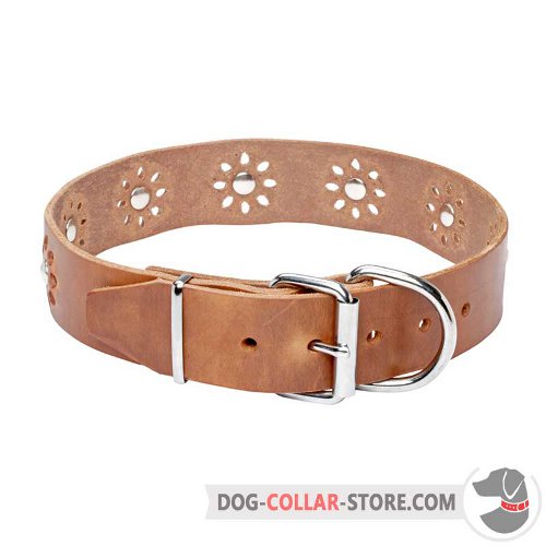 Dog Collar with durable nickel-plated hardware