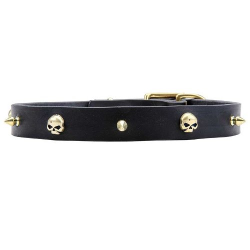 Dog Collar with durable brass hardware