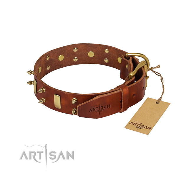 Full grain genuine leather dog collar with polished leather surface