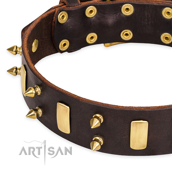 Easy to use leather dog collar with resistant to tear and wear durable fittings