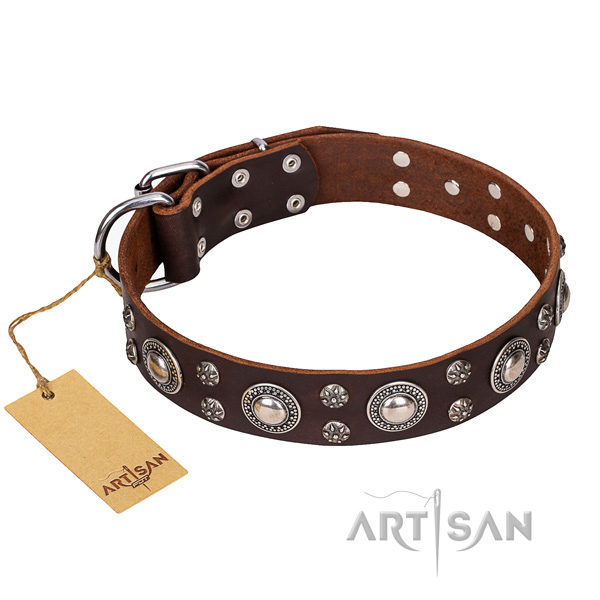 Indestructible leather dog collar with rust-proof elements