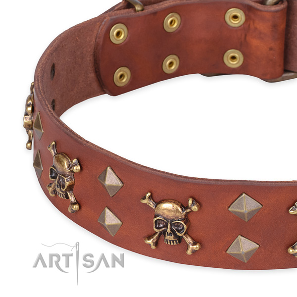 Daily leather dog collar with sensational embellishments