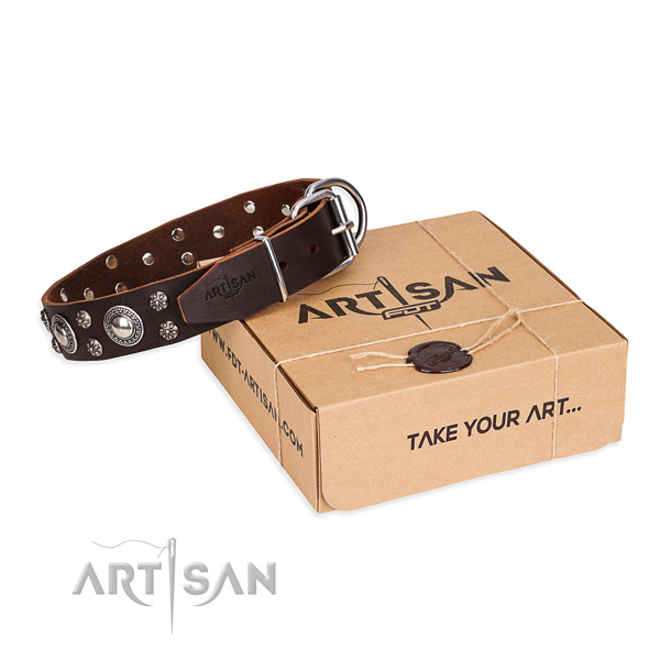 Casual leather dog collar with exceptional adornments