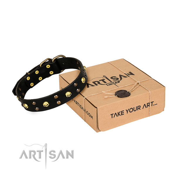 Long-lasting leather dog collar with non-corrosive fittings